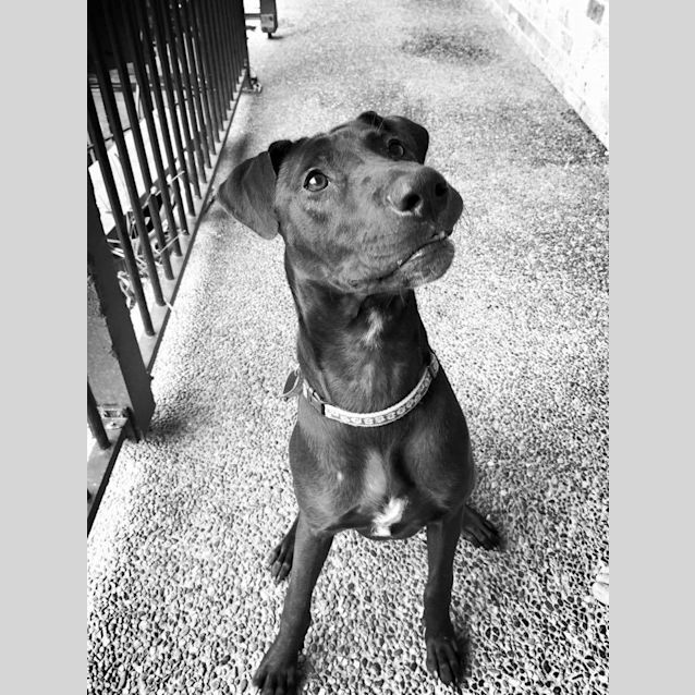 Photo of Izzy
