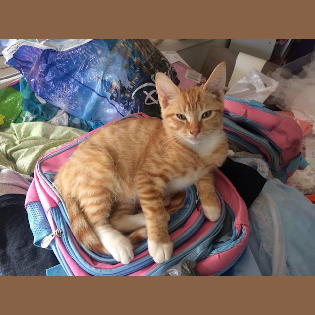 Photo of Junior
