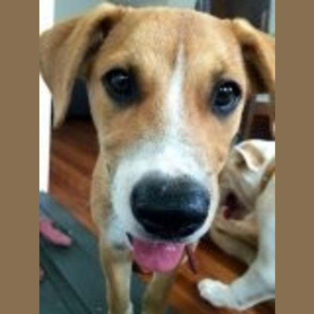 Photo of Ernie