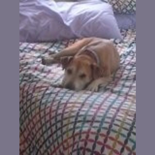 Photo of Bella