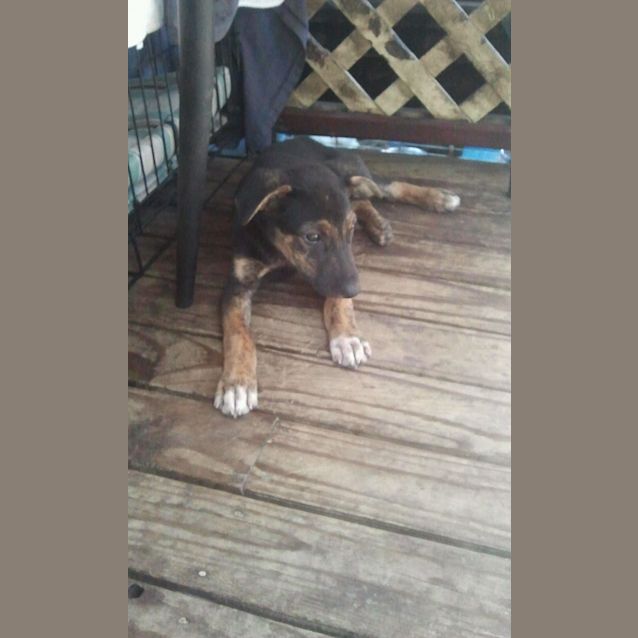 Photo of Mack