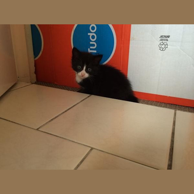 Photo of Molly