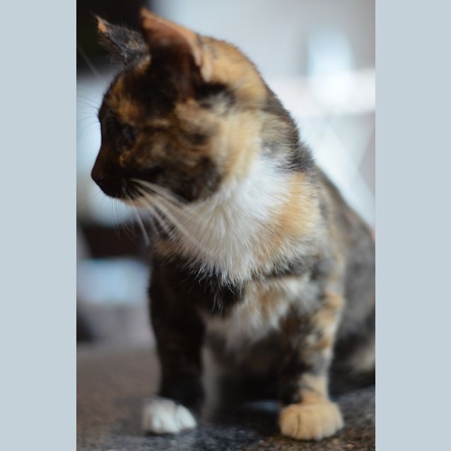 Photo of Rhianna (Rhi Rhi)