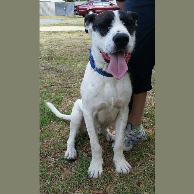 Photo of Arthur Dl928