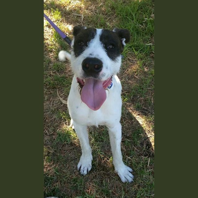 Photo of Arthur Dl928