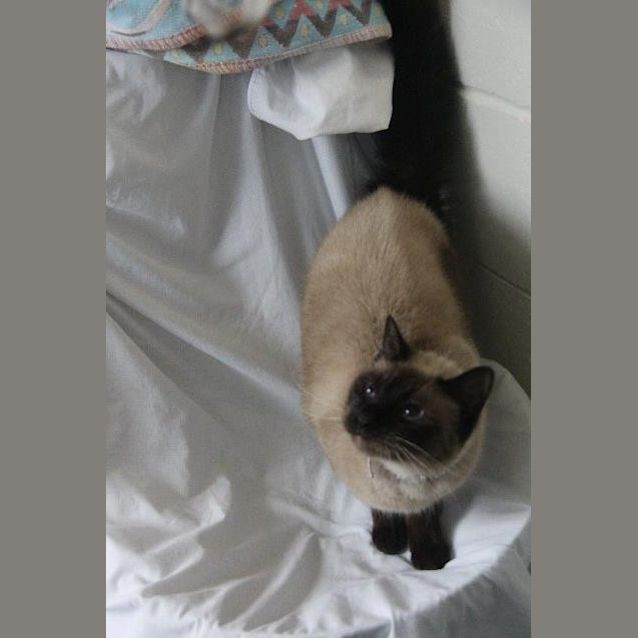 Photo of Priscilla