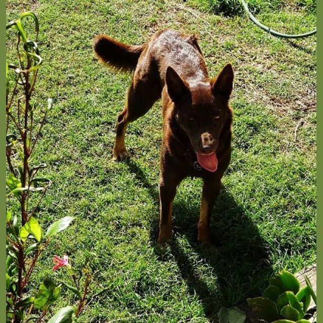 Photo of Bella Ed0019 