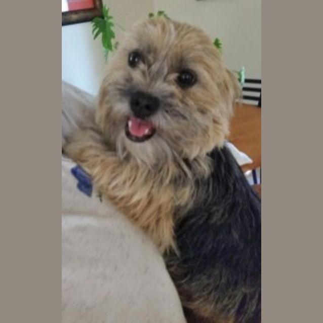 Photo of Rupert *On Trial In His New Home*
