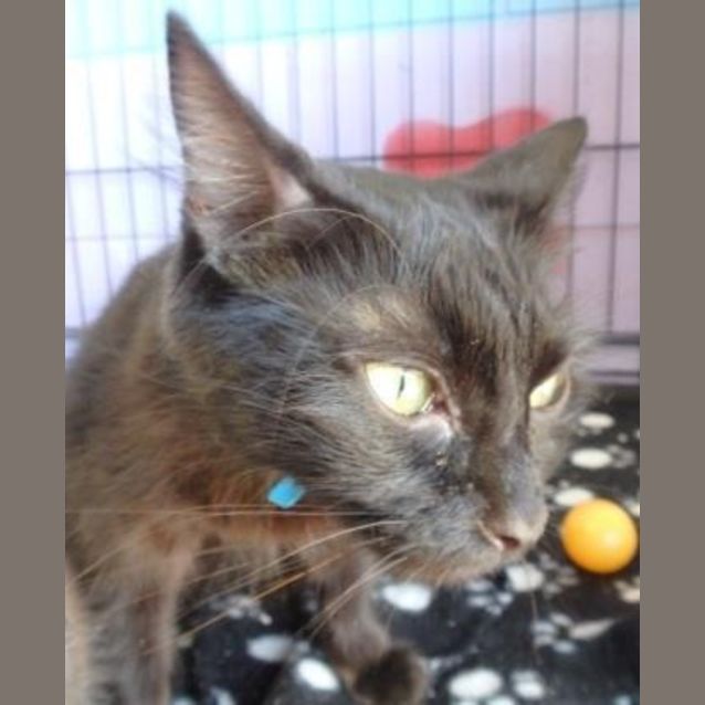 Photo of Twix