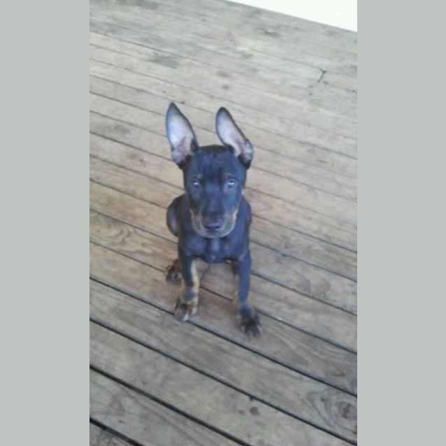 Photo of Zeus 