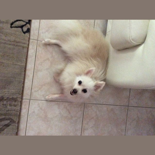 Photo of Jack