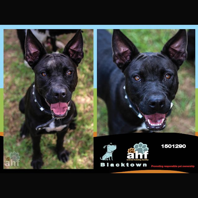 Photo of Jessie ~ #1501290