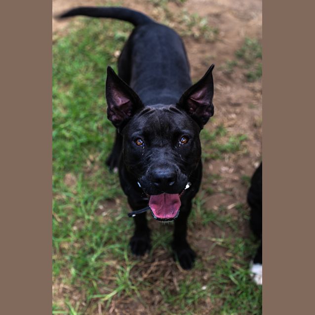 Photo of Jessie ~ #1501290