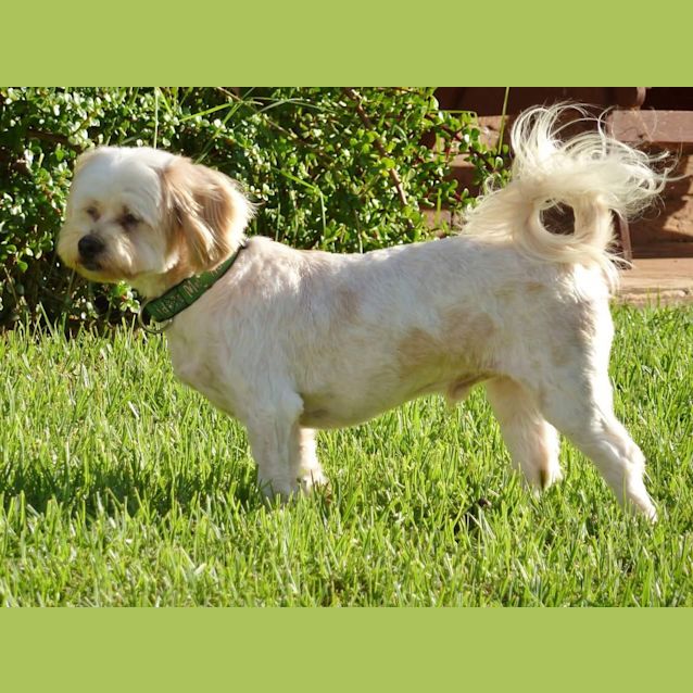 Photo of Charlie Bear!