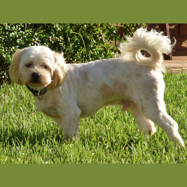 Photo of Charlie Bear!