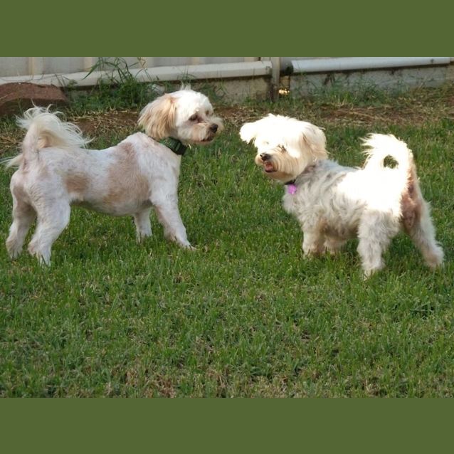 Photo of Charlie Bear!