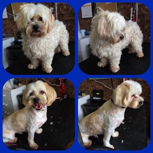 Photo of Charlie Bear!