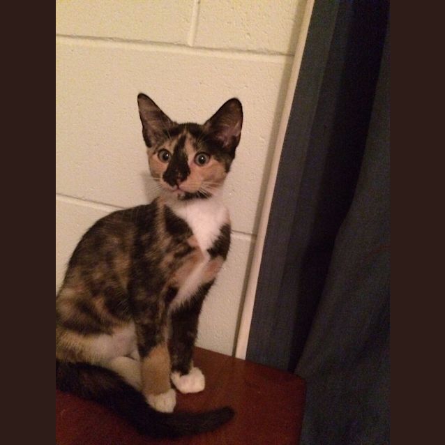 Photo of Sally
