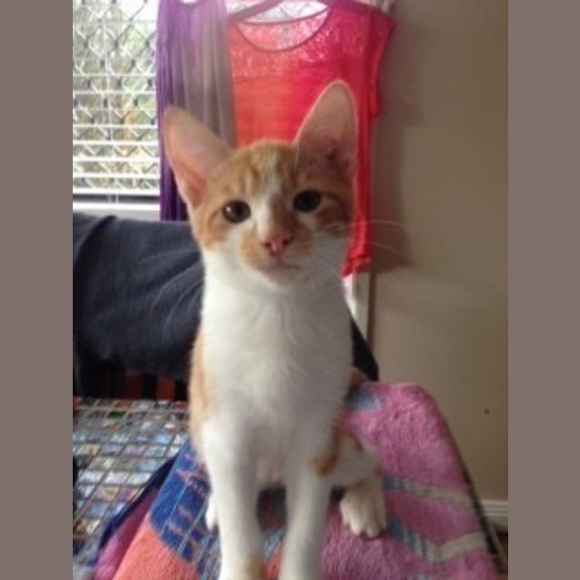 Photo of Freckle