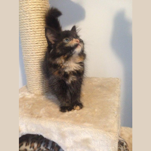 Photo of Bonnie