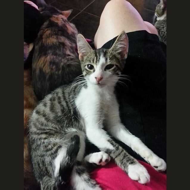 Photo of Otis (Mr Personality)