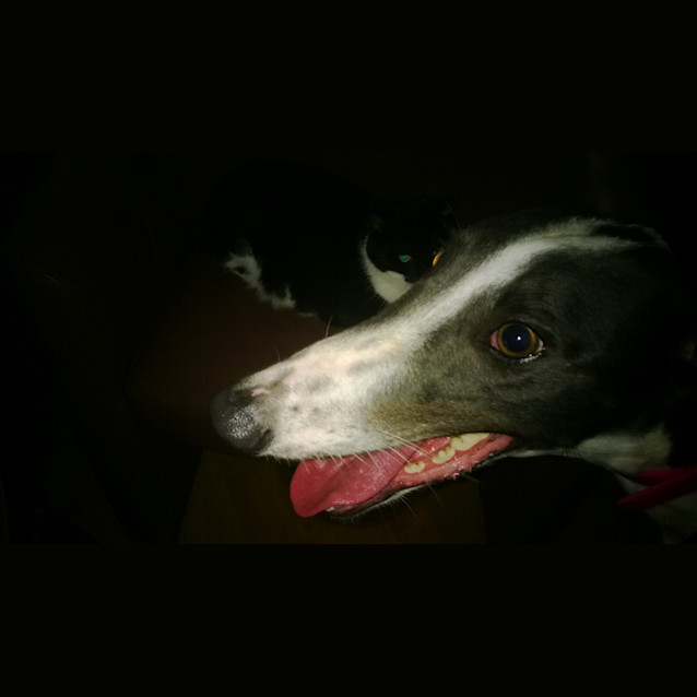 Photo of Lunar