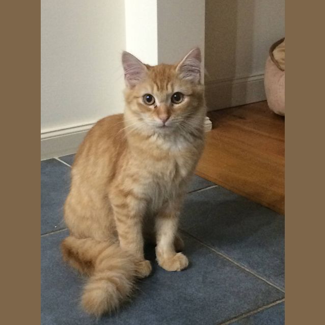 Photo of Whizz