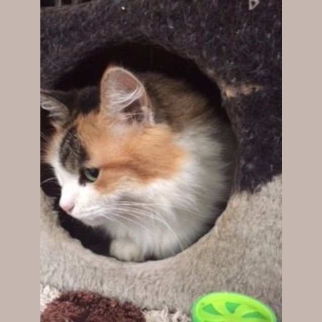 Photo of Molly