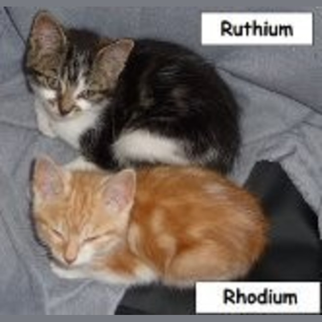 Photo of Ruthium