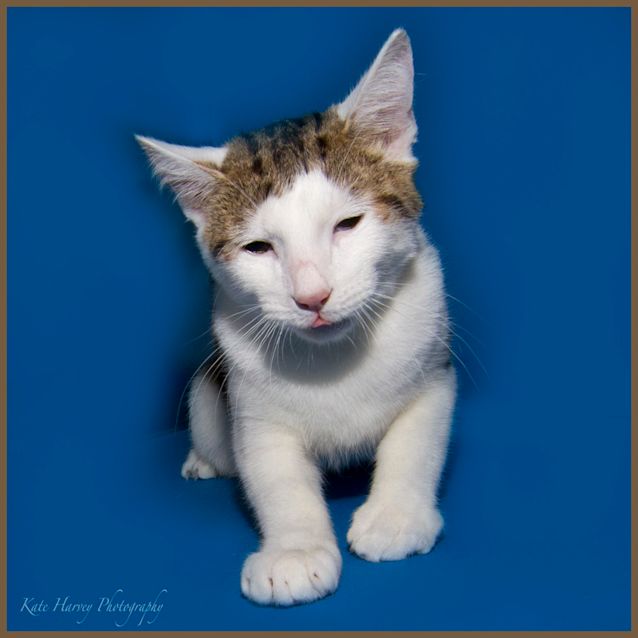 Photo of Sammy