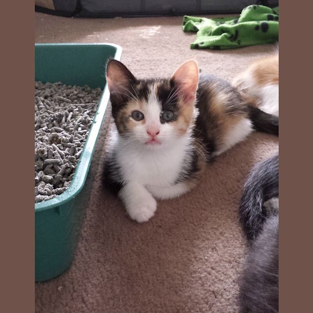 Photo of Shelly
