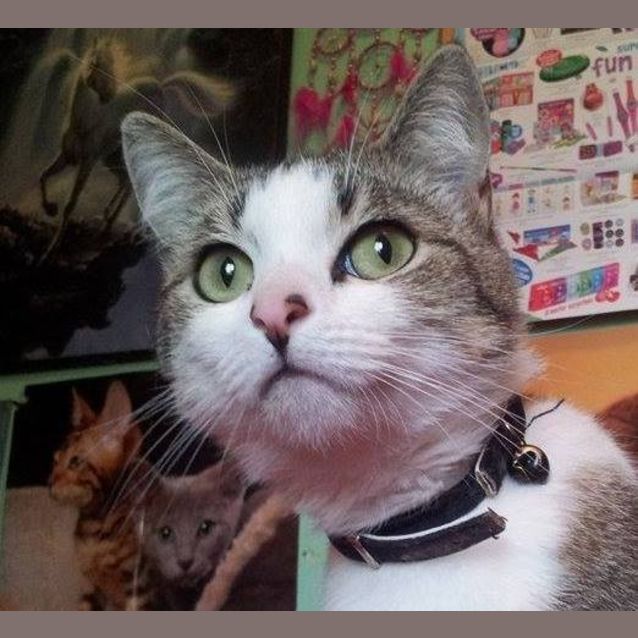 Photo of Lulu Great With Kids