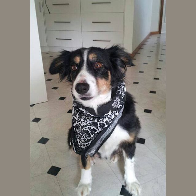 Photo of Honey
