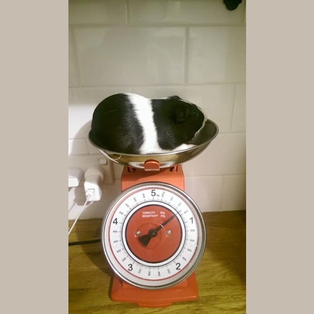 Photo of King Arthur