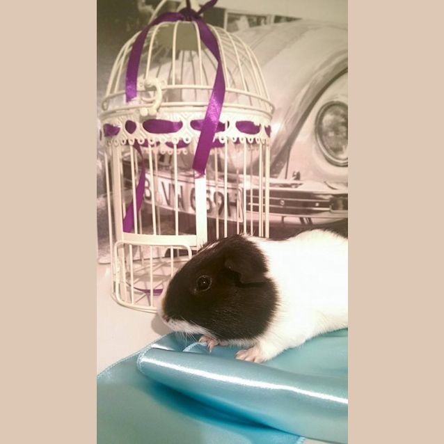 Photo of King Arthur