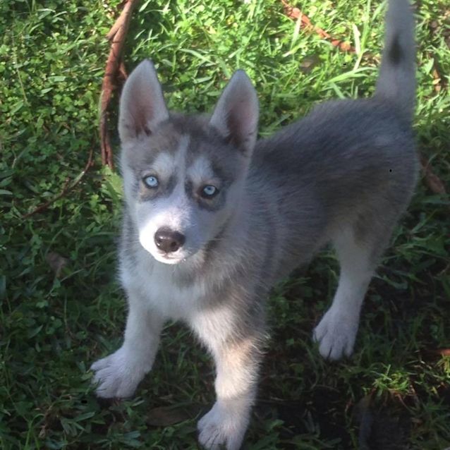 Photo of Mia