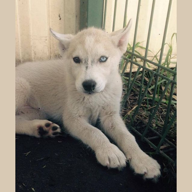 Photo of Letty