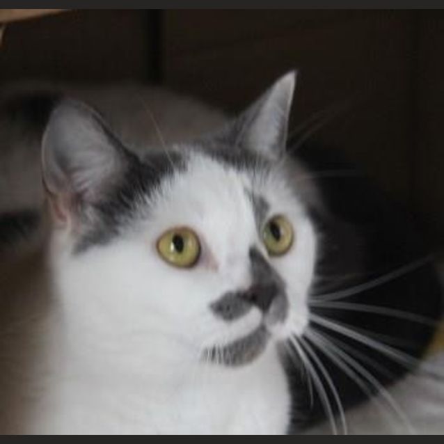 Photo of Kirra