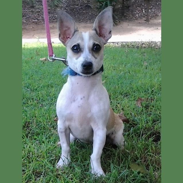 Photo of 095 1457 Jake