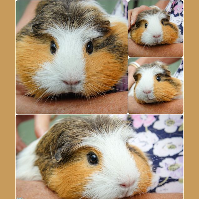 Photo of Wilma And Betty!