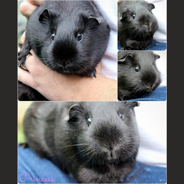 Photo of Wilma And Betty!