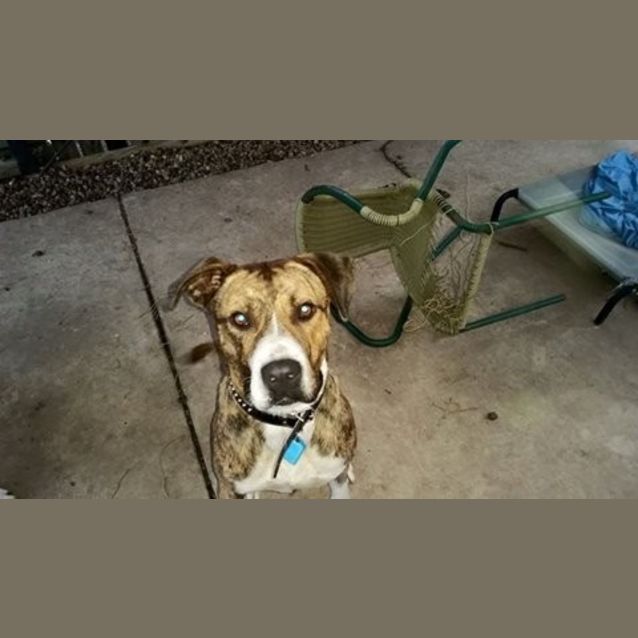 Photo of Cosmo