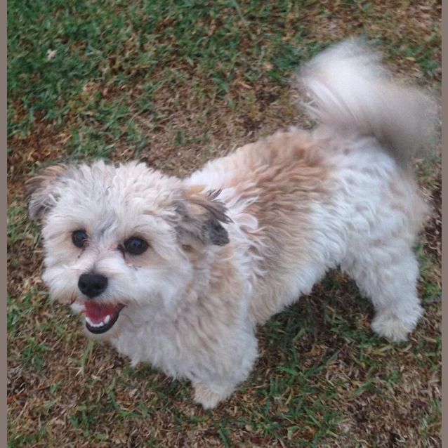 Photo of Turbo