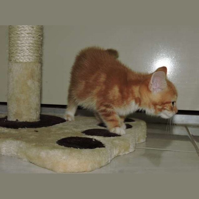 Photo of Rosie