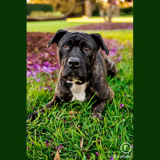 Photo of Neo