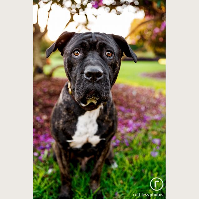Photo of Neo