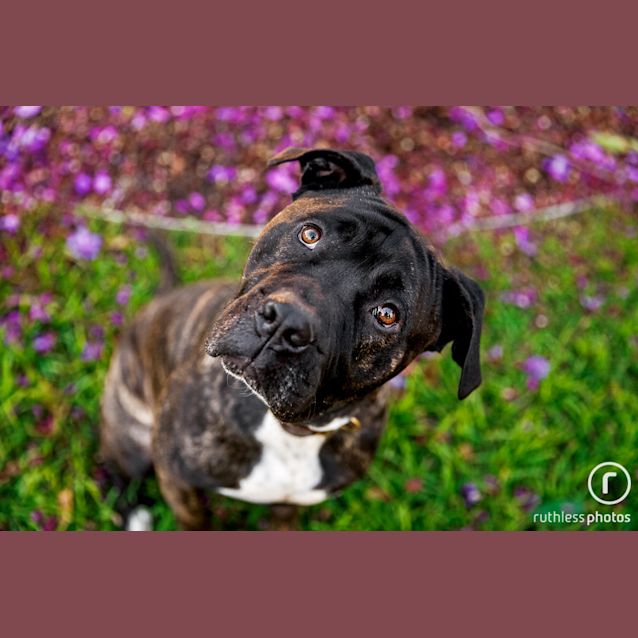 Photo of Neo