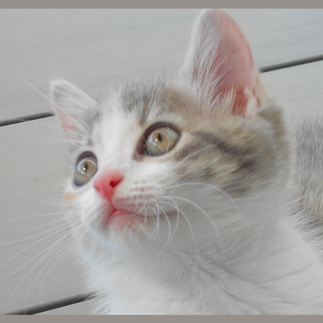 Photo of Keisha