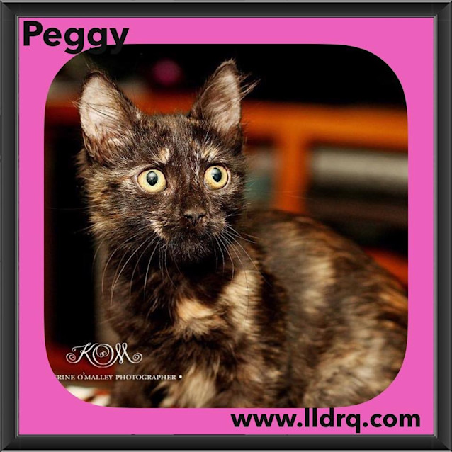 Photo of Peggy