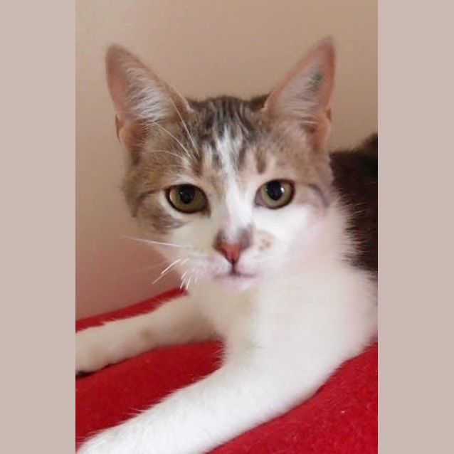 Photo of Jasmine